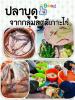 ปลาบูดู